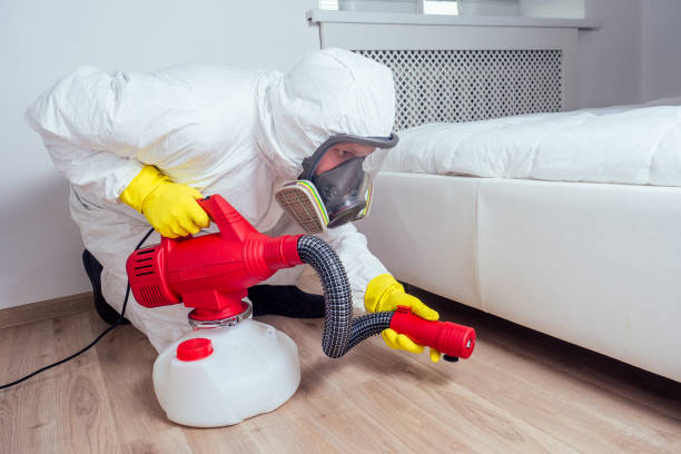 Insect Control in Riviera Beach, MD