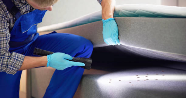 Best Insect Control  in Riviera Beach, MD