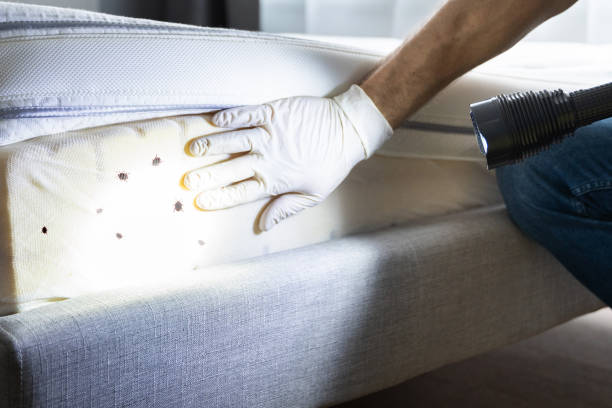 Best Residential Pest Control  in Riviera Beach, MD